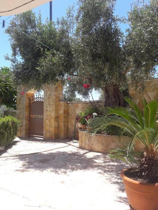 Porto Vito Appartement Aigosthena Buitenkant foto